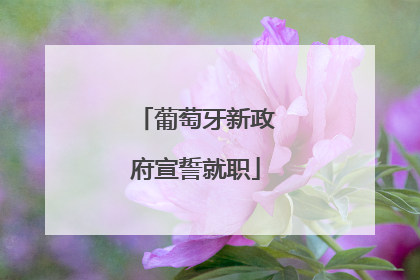 葡萄牙新政府宣誓就职
