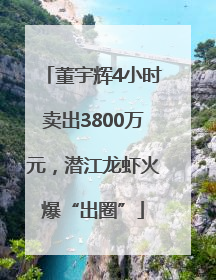 董宇辉4小时卖出3800万元，潜江龙虾火爆“出圈”