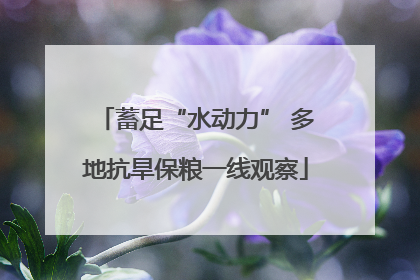 蓄足“水动力” 多地抗旱保粮一线观察
