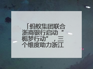 蚂蚁集团联合浙商银行启动“栀梦行动”，三个维度助力浙江下姜村建设共富示范区示范点