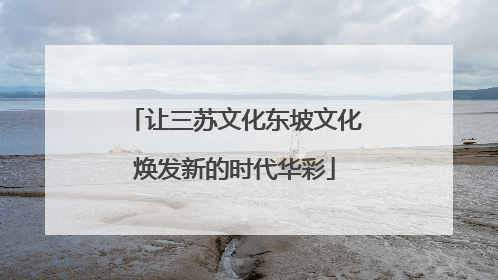 让三苏文化东坡文化焕发新的时代华彩