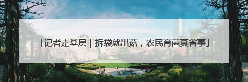 记者走基层｜拆袋就出菇，农民育菌真省事