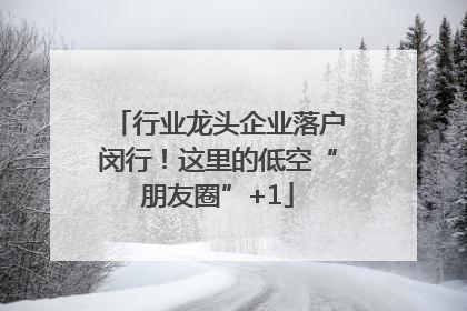 行业龙头企业落户闵行！这里的低空“朋友圈”+1