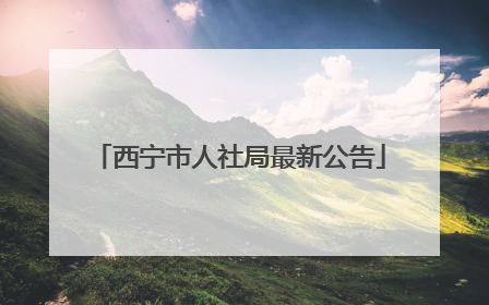 西宁市人社局最新公告