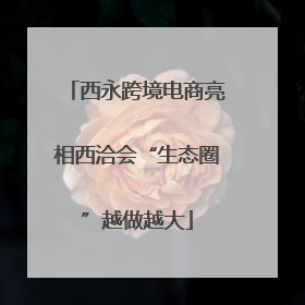 西永跨境电商亮相西洽会“生态圈”越做越大