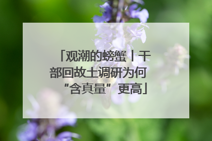 观潮的螃蟹丨干部回故土调研为何“含真量”更高