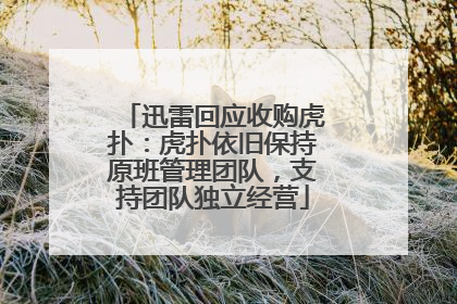 迅雷回应收购虎扑：虎扑依旧保持原班管理团队，支持团队独立经营