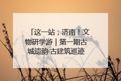 这一站，济南！文物研学游｜第一期古城遗韵·古建筑巡迹之旅圆满结束