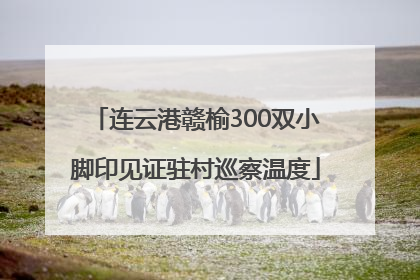连云港赣榆300双小脚印见证驻村巡察温度