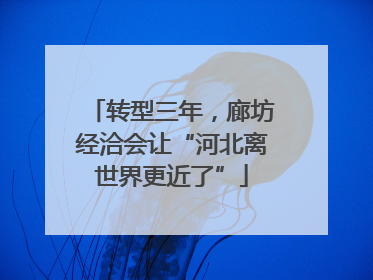 转型三年，廊坊经洽会让“河北离世界更近了”