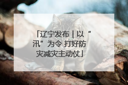 辽宁发布｜以“汛”为令 打好防灾减灾主动仗