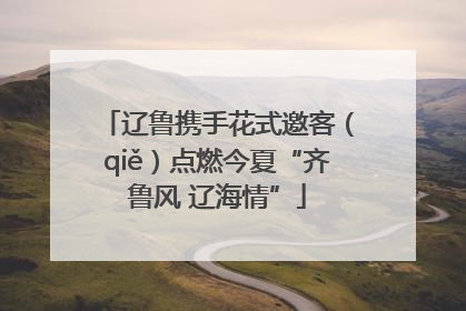 辽鲁携手花式邀客（qiě）点燃今夏“齐鲁风 辽海情”