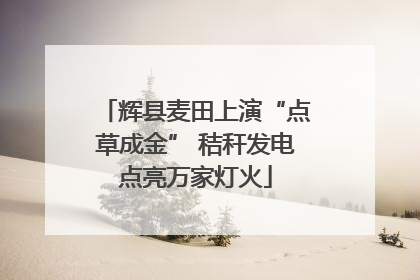 辉县麦田上演“点草成金” 秸秆发电点亮万家灯火