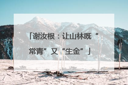 谢汝根：让山林既“常青”又“生金”