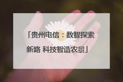贵州电信：数智探索新路 科技智造农景
