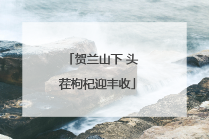 贺兰山下 头茬枸杞迎丰收