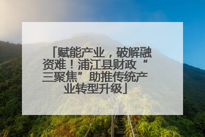 赋能产业，破解融资难！浦江县财政“三聚焦”助推传统产业转型升级