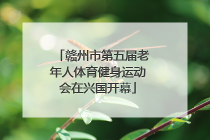 赣州市第五届老年人体育健身运动会在兴国开幕