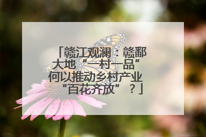 赣江观澜：赣鄱大地“一村一品”何以推动乡村产业“百花齐放”？