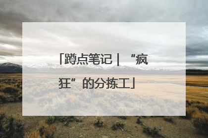 蹲点笔记｜“疯狂”的分拣工