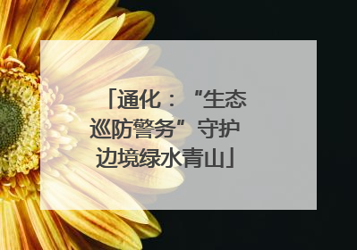 通化：“生态巡防警务”守护边境绿水青山
