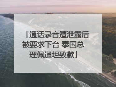 通话录音遭泄露后被要求下台 泰国总理佩通坦致歉