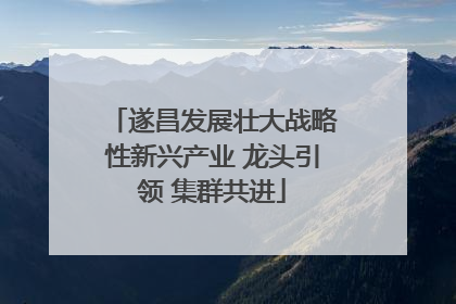 遂昌发展壮大战略性新兴产业 龙头引领 集群共进
