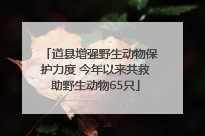 道县增强野生动物保护力度 今年以来共救助野生动物65只