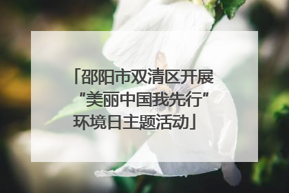 邵阳市双清区开展“美丽中国我先行”环境日主题活动