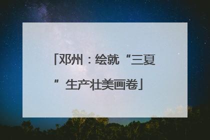 邓州：绘就“三夏”生产壮美画卷