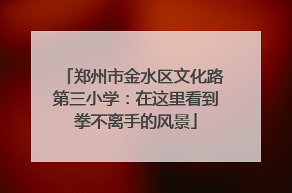 郑州市金水区文化路第三小学：在这里看到拳不离手的风景