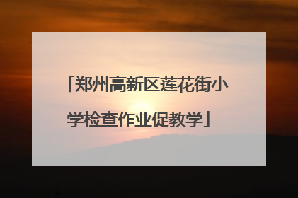 郑州高新区莲花街小学检查作业促教学