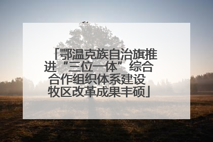 鄂温克族自治旗推进“三位一体”综合合作组织体系建设 牧区改革成果丰硕