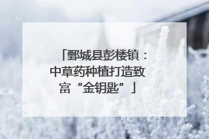 鄄城县彭楼镇：中草药种植打造致富“金钥匙”