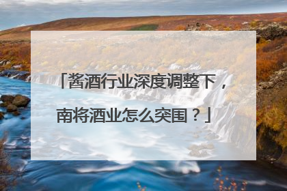 酱酒行业深度调整下，南将酒业怎么突围？