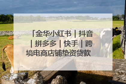 金华小红书｜抖音｜拼多多｜快手｜跨境电商店铺垫资贷款企业-漫商易