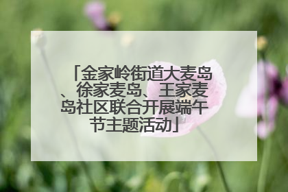 金家岭街道大麦岛、徐家麦岛、王家麦岛社区联合开展端午节主题活动