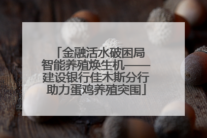 金融活水破困局 智能养殖焕生机——建设银行佳木斯分行助力蛋鸡养殖突围