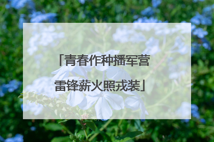 青春作种播军营 雷锋薪火照戎装