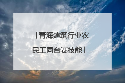 青海建筑行业农民工同台赛技能