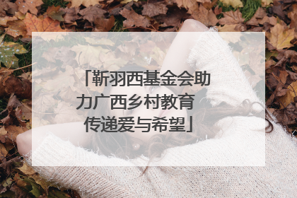 靳羽西基金会助力广西乡村教育 传递爱与希望