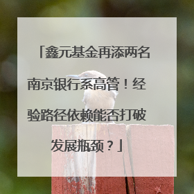 鑫元基金再添两名南京银行系高管！经验路径依赖能否打破发展瓶颈？