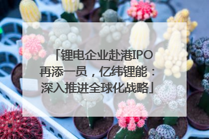 锂电企业赴港IPO再添一员，亿纬锂能：深入推进全球化战略
