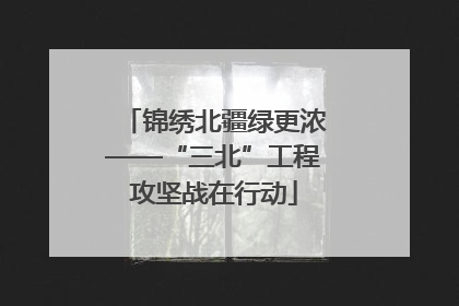 锦绣北疆绿更浓——“三北”工程攻坚战在行动