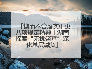 锲而不舍落实中央八项规定精神丨湖南探索“无扰督查”深化基层减负