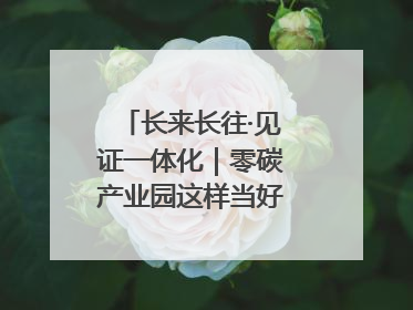 长来长往·见证一体化｜零碳产业园这样当好“碳”路先锋