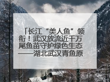 长江“美人鱼”领衔！武汉放流近千万尾鱼苗守护绿色生态——湖北武汉青鱼原种场参加2025年“全国放鱼日”增殖放流活动