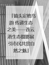 镜头定格鸟韵 传递生态之美——连云港生态摄影展引市民共赏自然之魅