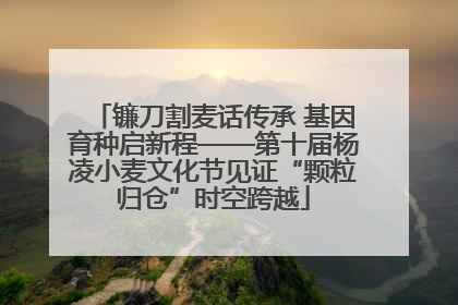 镰刀割麦话传承 基因育种启新程——第十届杨凌小麦文化节见证“颗粒归仓”时空跨越