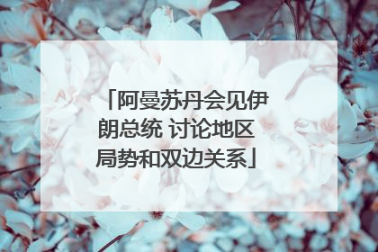 阿曼苏丹会见伊朗总统 讨论地区局势和双边关系